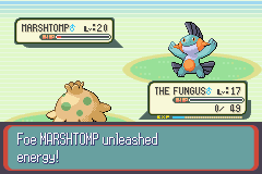 PokemonRuby_81-1.png