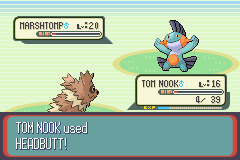 PokemonRuby_82-1.png