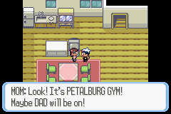 PokemonRuby_09.png