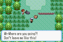 PokemonRuby_19.png