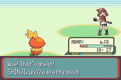 PokemonRuby_34.png