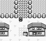 PokemonRed_01-1.png