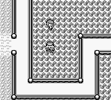 PokemonRed_02-7.png