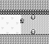 PokemonRed_06-3.png