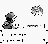 PokemonRed_06-9.png