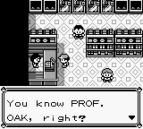 PokemonRed_11-1.png