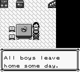 PokemonRed_11.png