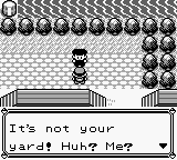 PokemonRed_13-6.png