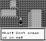 PokemonRed_17-4.png