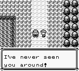 PokemonRed_21-6.png