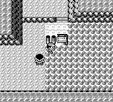 PokemonRed_41-2.png