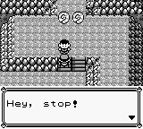 PokemonRed_45-3.png