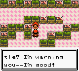 PokemonSilver_03-2.png