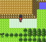 PokemonSilver_136-4.png