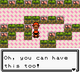 PokemonSilver_18-2.png