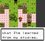 PokemonSilver_76-1.png