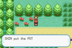 Pokemon-FireRed2_38_zps97fb3f38.png