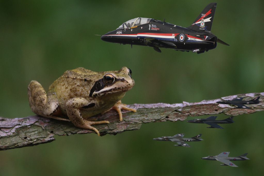 Fotografie