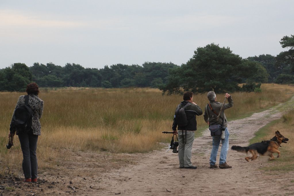 Fotografie