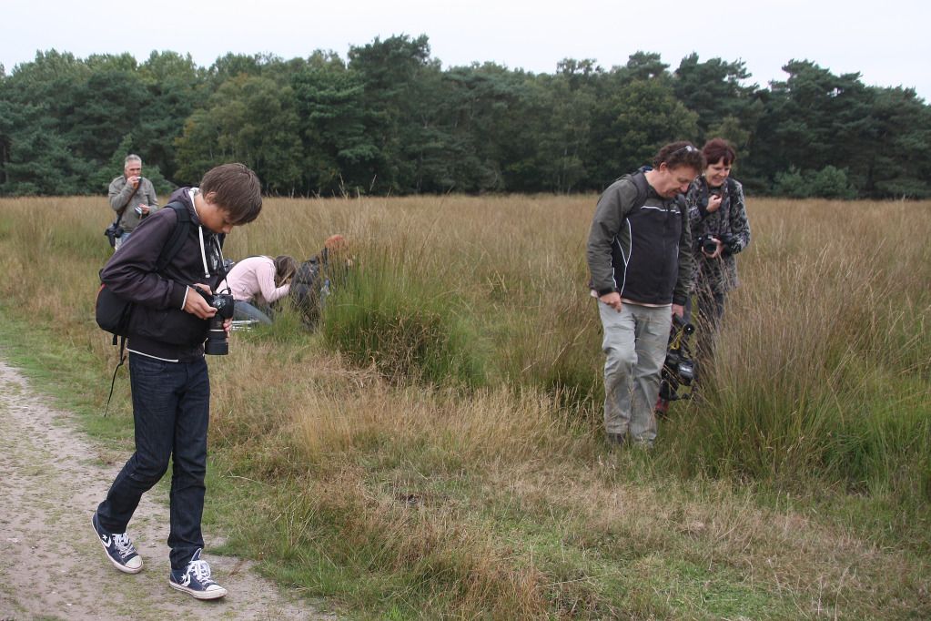 Fotografie