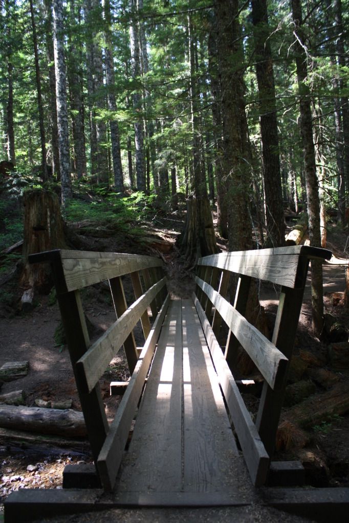 IMAGE: http://i1145.photobucket.com/albums/o516/j28photography/Mirror%20Lake/IMG_3398.jpg