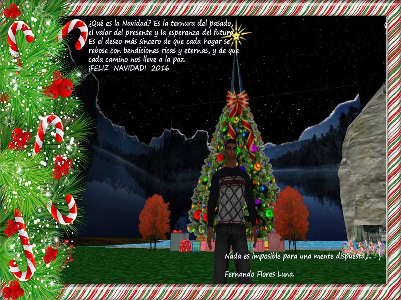  photo Navidad   PS   2016  Fer  2.jpg