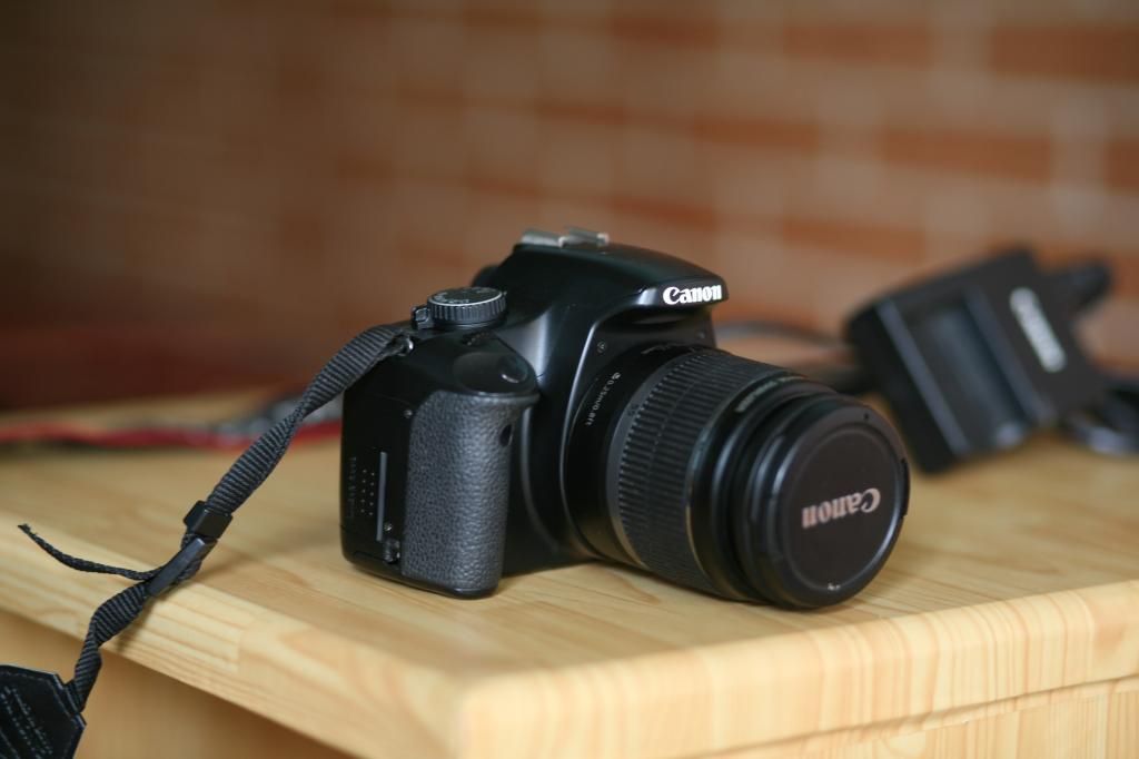 Canon 450D kit 18-55mm is giá cực tốt - 1