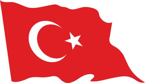 Türk Bayrağının Doğuş Hikayesi
