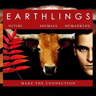 Belgesel Film; Dünyalılar (Earthlings) “Biz İnsan Olamayız”