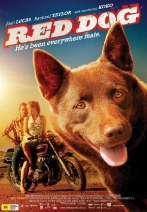 Bir Köpeğin Gerçek Hikayesi; “Kırmızı Köpek” (Red Dog)