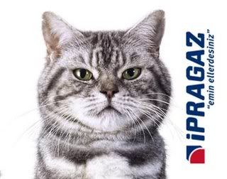Kedili İpragaz Reklamı “Pissi”