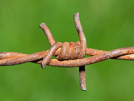 Tetanoz Aşısı Ne Zaman? Kaç Saat İçinde Yapılmalı?