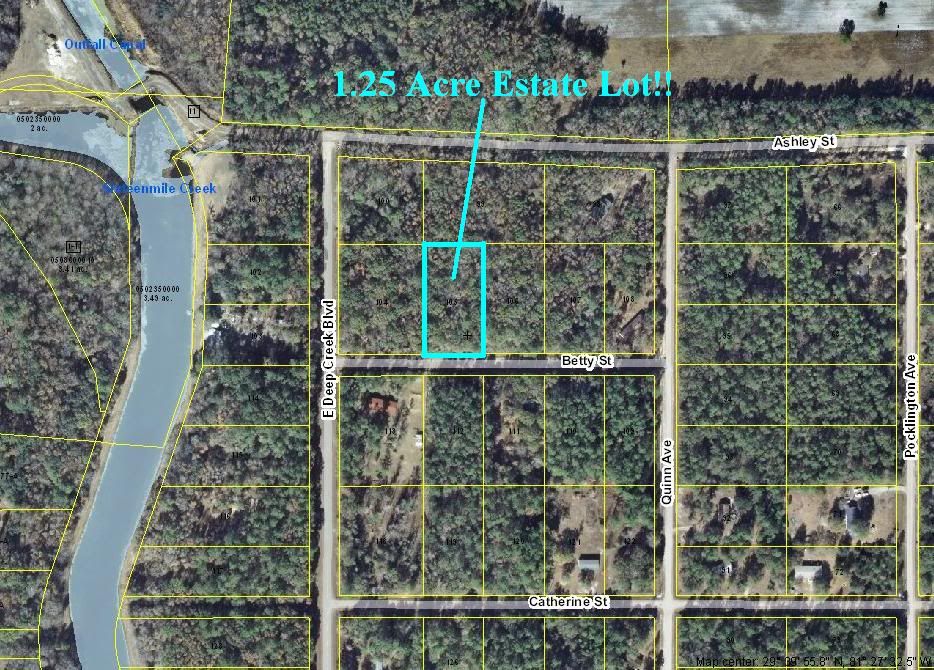 1.25 ACRE ESTATE LOT!! Flagler Estates **LARGE** FLORIDA LAND