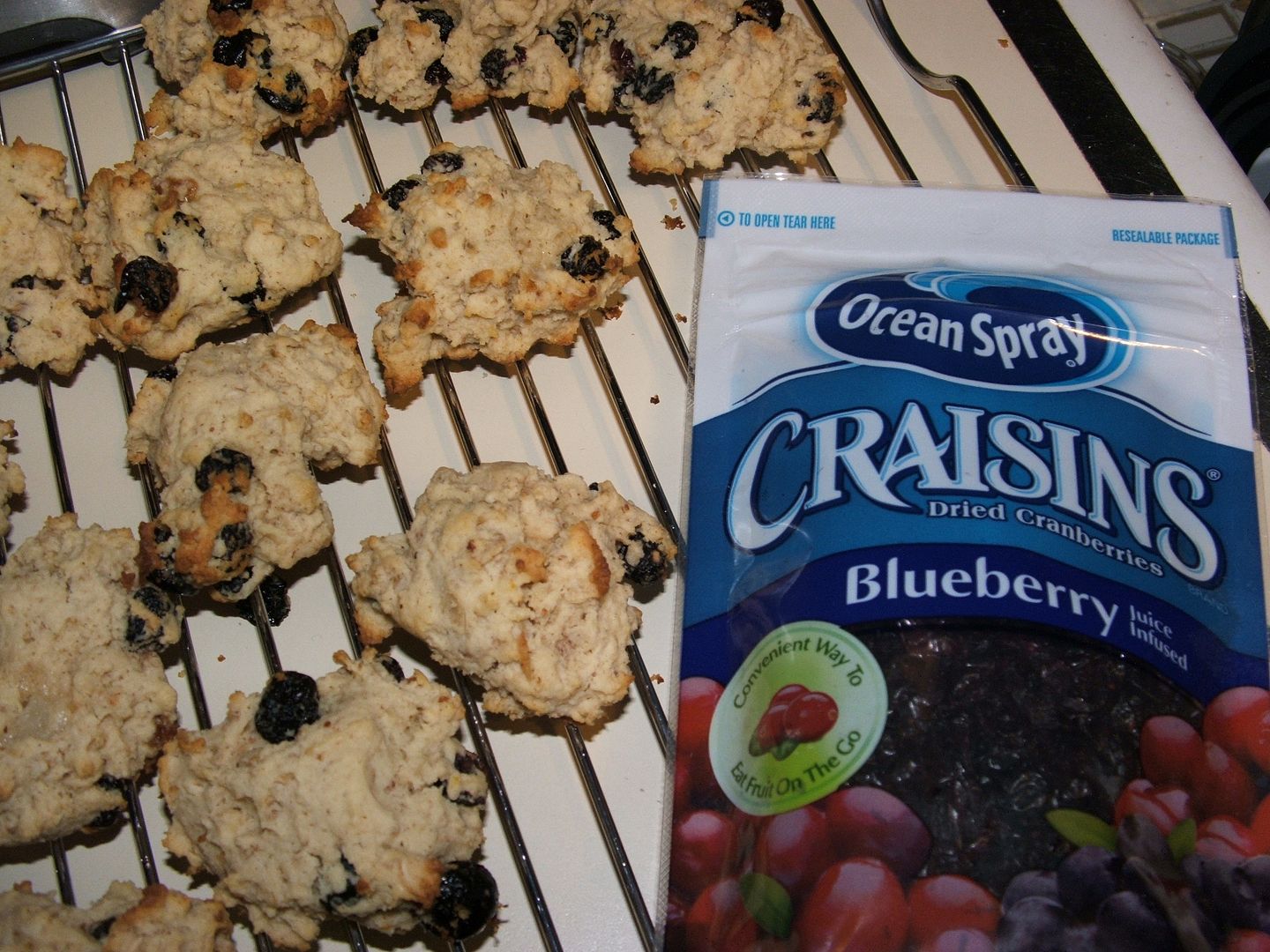 Lemon Blueberry Oatmeal Cookies by Angie Ouellette-Tower for godsgrowinggarden.com photo 004-6_zps3a0c5516.jpg