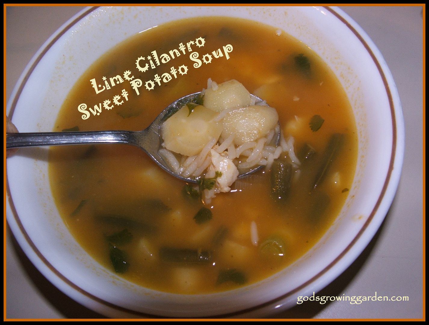Lime Cilantro Sweet Potato Soup, by Angie Ouellette-Tower for godsgrowinggarden.com