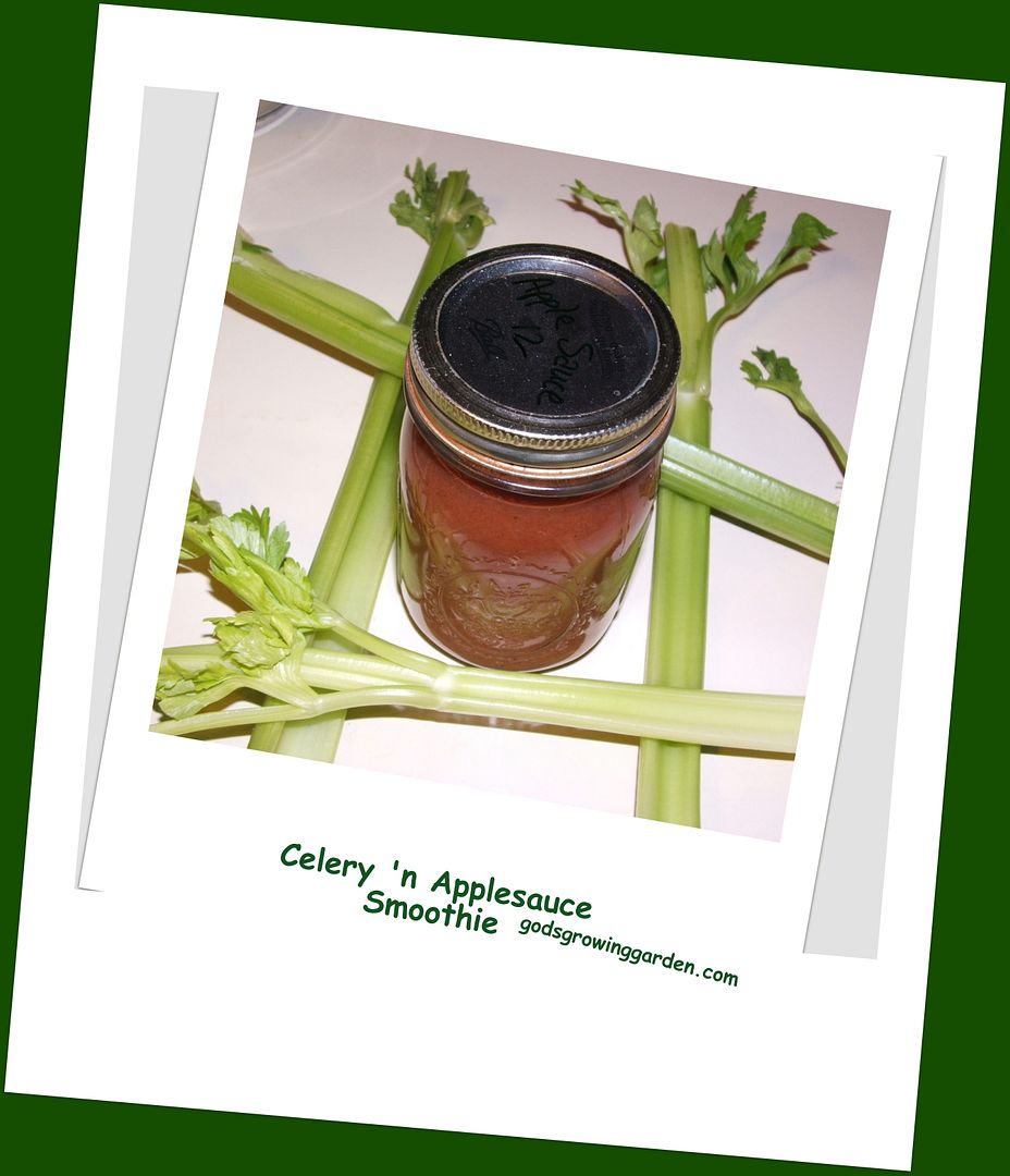Celery'n Applesauce Smoothie, by Angie Ouellette-Tower for godsgrowinggarden.com