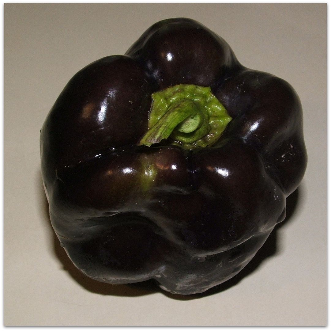 Purple Pepper by Angie Ouellette-Tower for godsgrowinggarden.com photo 006_zpse0e3d4ce.jpg