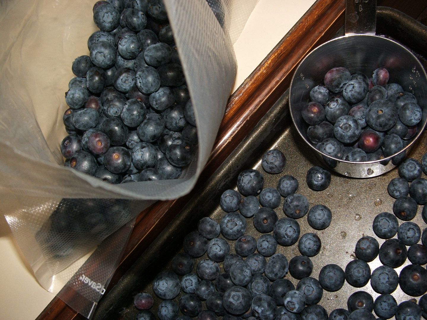 Freezing Blueberries, by Angie Ouellette-Tower for godsgrowinggarden.com