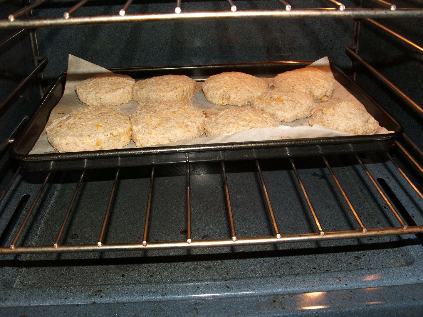 Whole Grain Cheese Biscuits by Angie Ouellette-Tower for godsgrowinggarden.com photo 005_zpsbdaff912.jpg