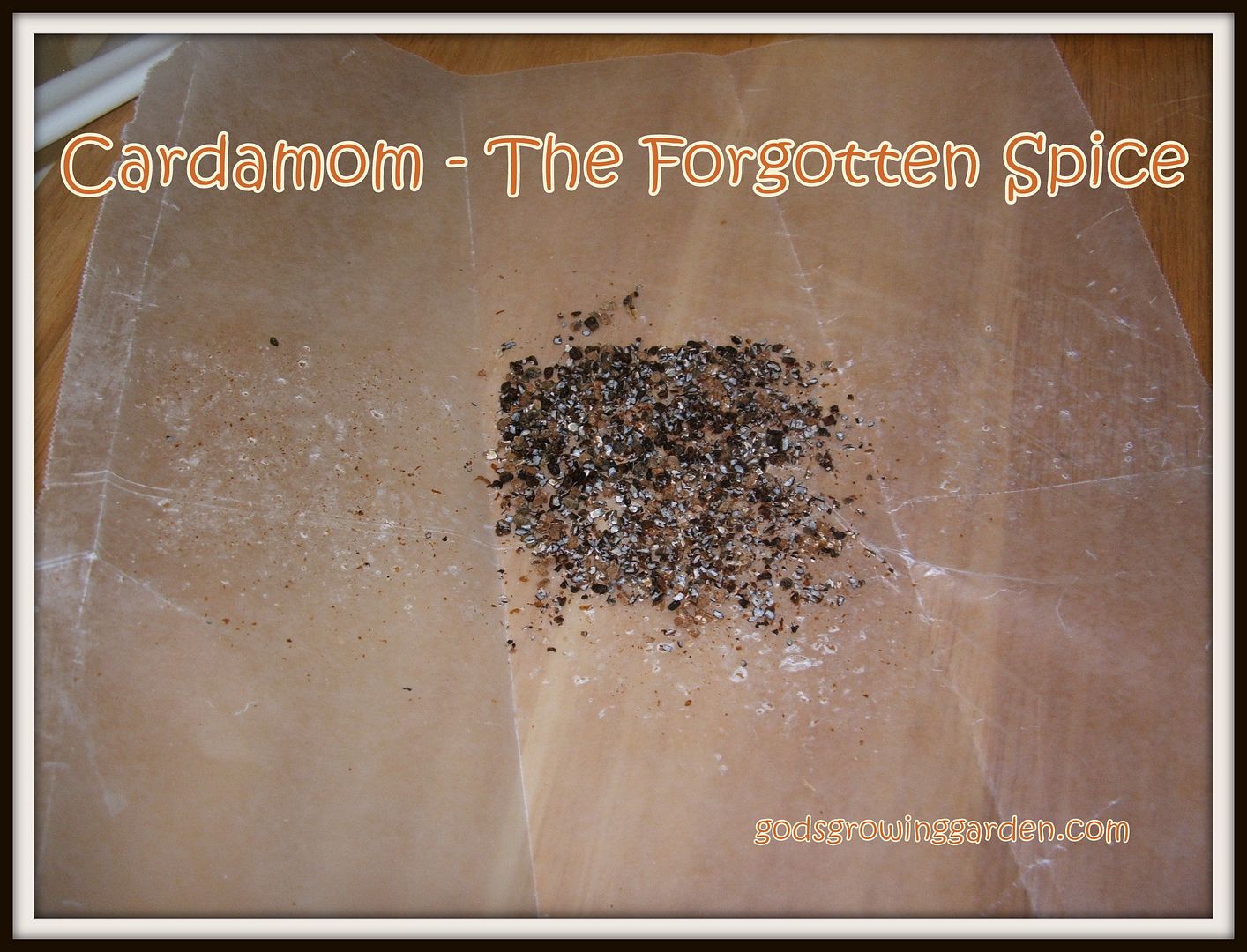 Cardamom by Angie Ouellette-Tower for godsgrowinggarden photo 007-Copy_zpsb0d1dc31.jpg