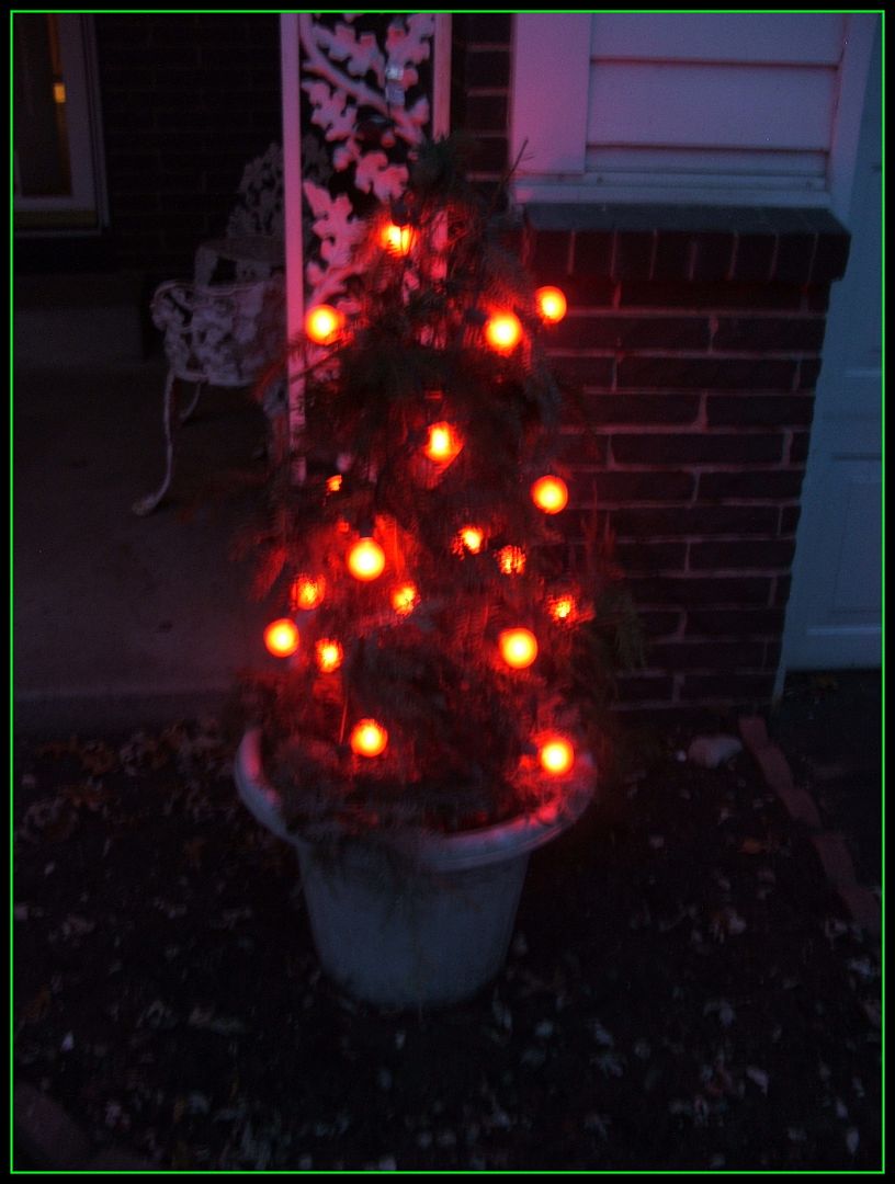 Tomato-Cage Topiary Tree by Angie Ouellette-Tower for godsgrowinggarden.com photo 010_zps89adda1f.jpg