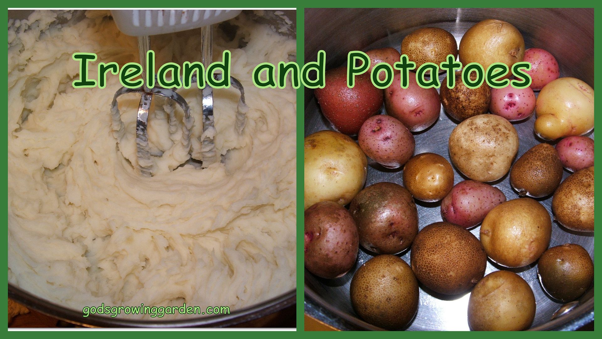 Ireland & Potatoes by Angie Ouellette-Tower for godsgrowinggarden.com photo 2013-10-13_zps707a1500.jpg