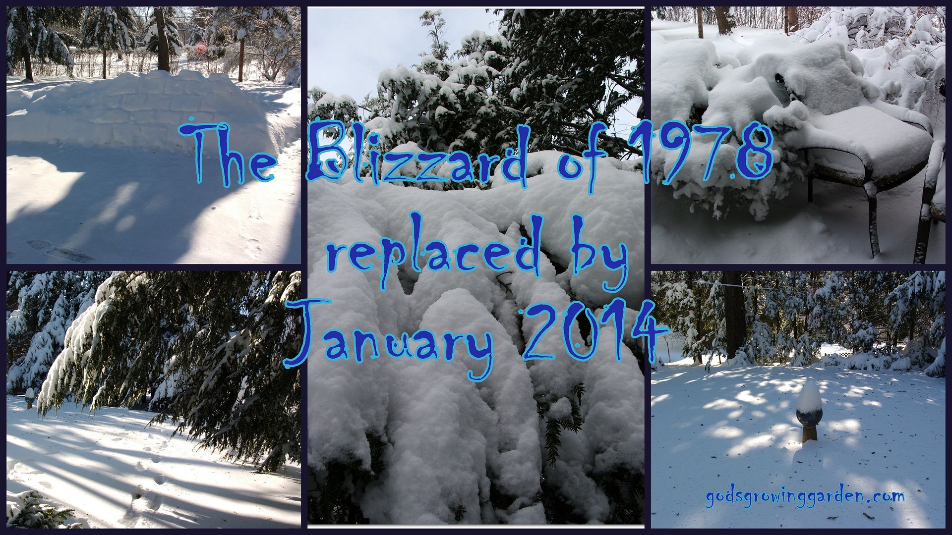 Blizzard of 78 Replaced by Angie Ouellette-Tower for godsgrowinggarden.com photo 2014-01-06_zpsd81356d3.jpg