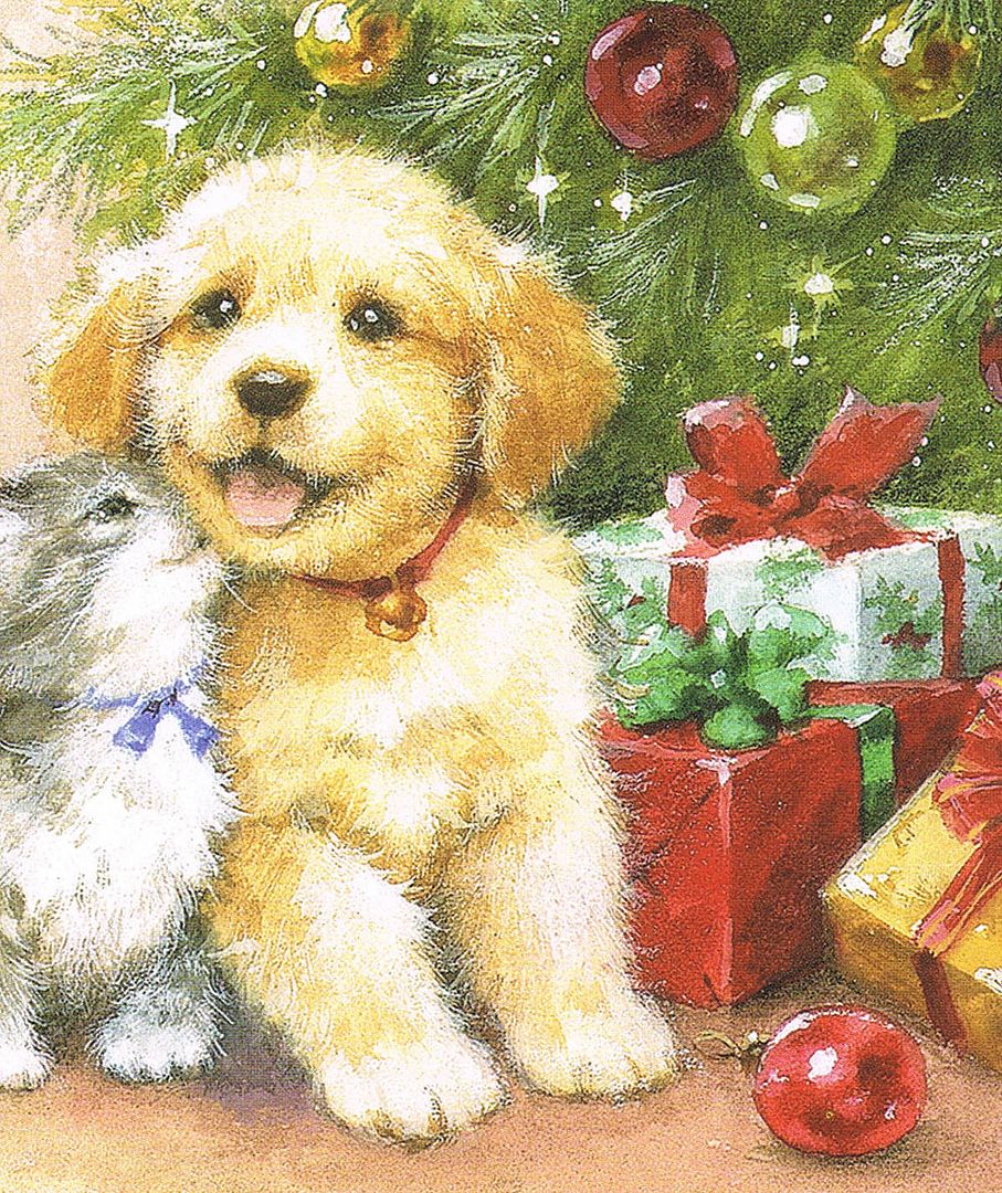 Christmas card scanned in by Angie Ouellette-Tower for https://www.godsgrowinggarden.com/ photo Christmas13_zpsjahwfpze.jpg