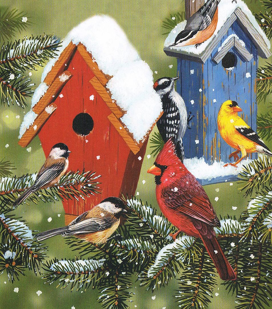Christmas card scanned in by Angie Ouellette-Tower for https://www.godsgrowinggarden.com/ photo Christmas15_zpspmfpx7rz.jpg