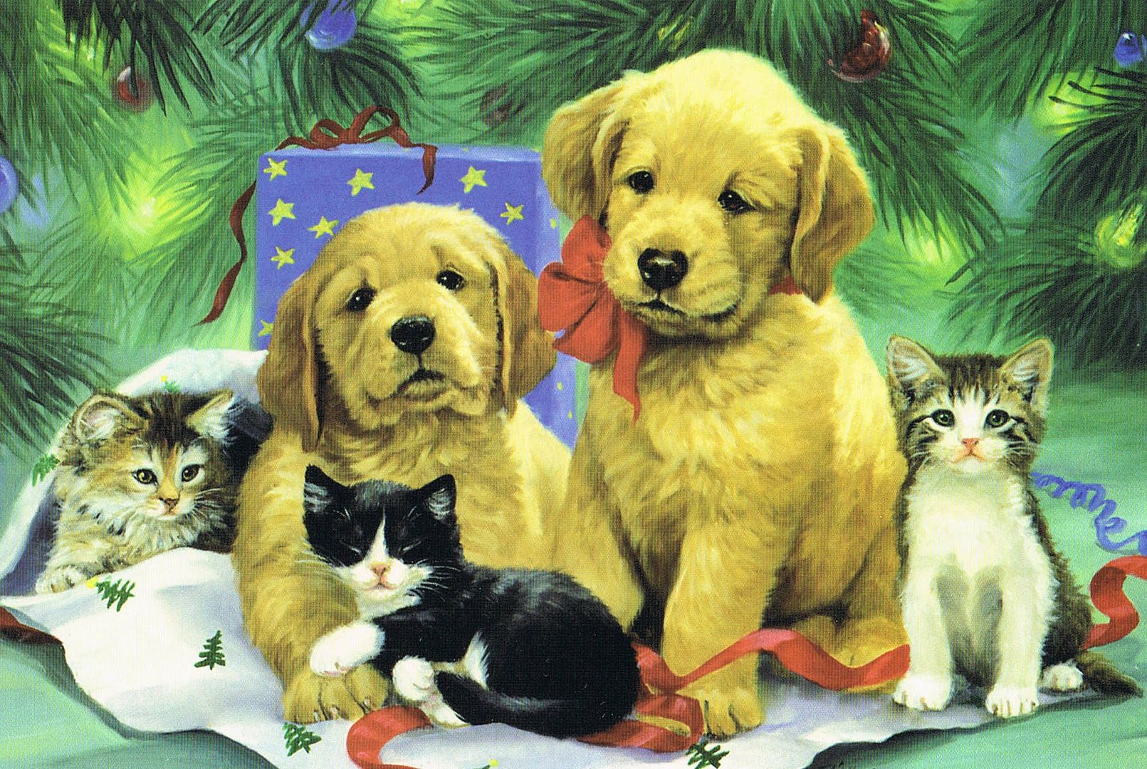 Christmas card scanned in by Angie Ouellette-Tower for https://www.godsgrowinggarden.com/ photo Christmas1_zps3chh97ae.jpg