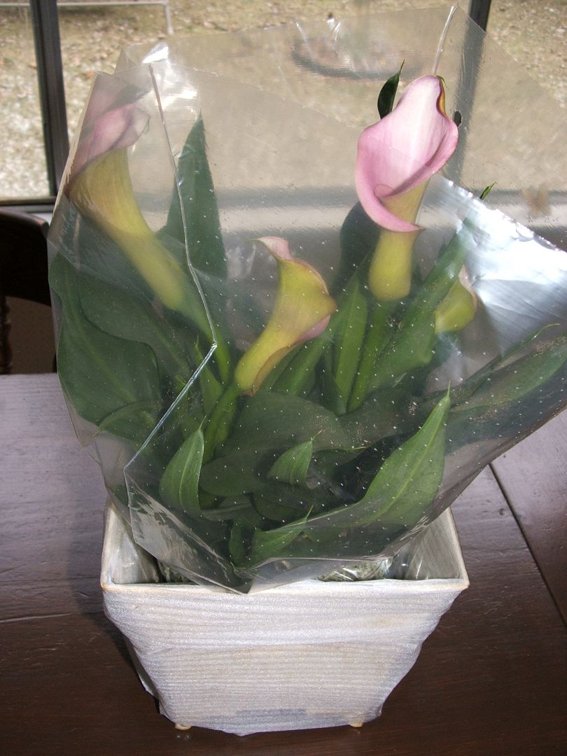 Calla Lily Birthday by Angie Ouellette-Tower for godsgrowinggarden.com photo 002_zpsee25c67c.jpg