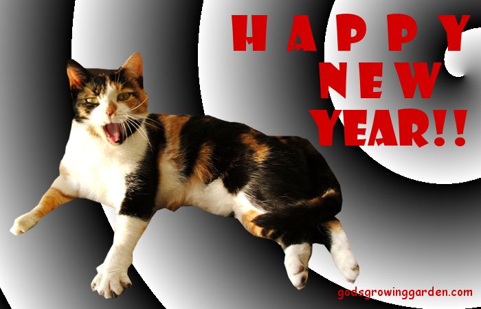 Happy New Year, by Angie Ouellette-Tower for godsgrowinggarden.com