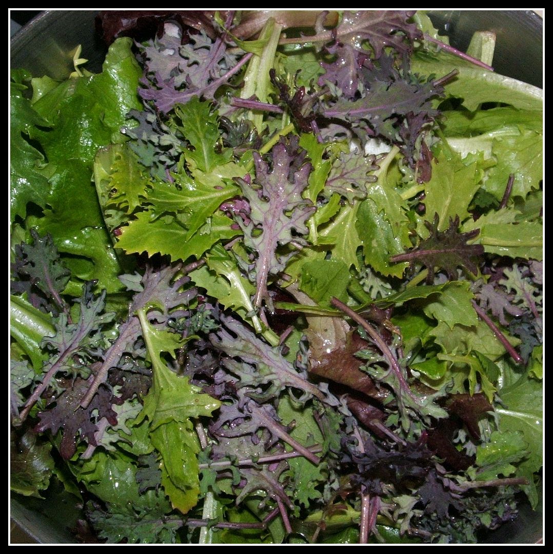 Microgreens by Angie Ouellette-Tower for godsgrowinggarden.com photo 001_zps77afdbbe.jpg