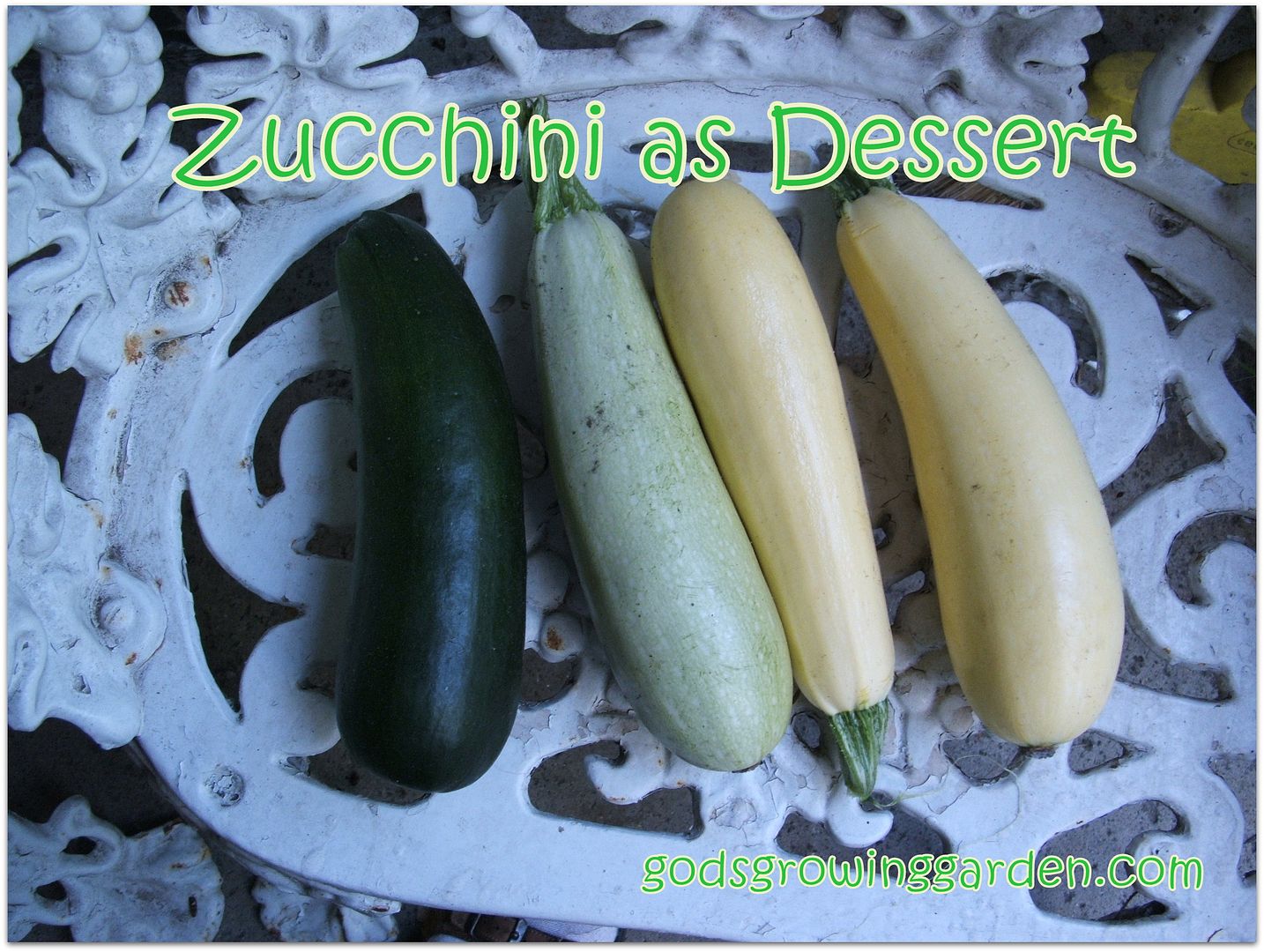 Zucchini by Angie Ouellette-Tower for godsgrowinggarden.com photo 001_zps90e32ca0.jpg
